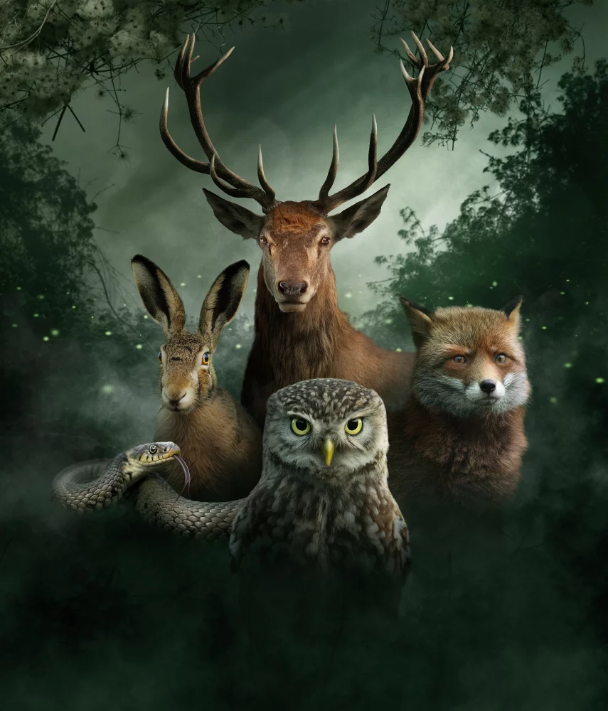 Work by Koen